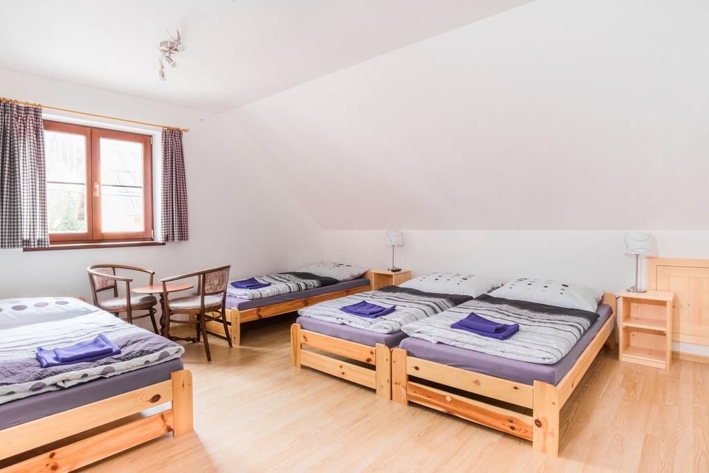 Ubytovani Krkonose Hotell Horni Lanov Eksteriør bilde
